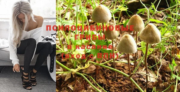 a pvp Володарск