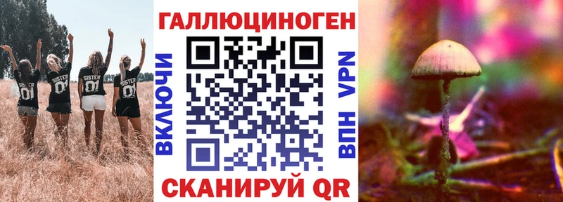 Купить закладки  Нерюнгри  Галлюциногенные грибы MAGIC MUSHROOMS 